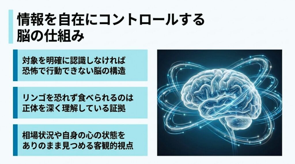 FXの感情コントロールに不可欠な、情報を自在に処理して自己を客観視する脳の仕組みを表した図解