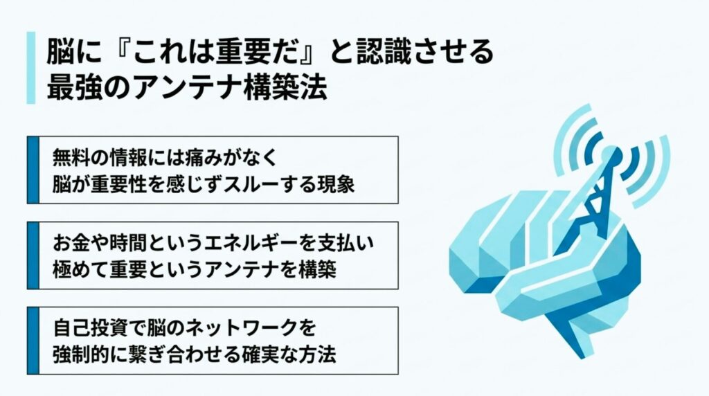 自己投資によって脳に重要度を認識させ新しい情報を受け取るための最強のアンテナ構築法の図解
